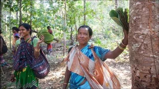 Tribals constitute nearly 23 per cent of the total 4.2 crore population of Odisha, as per 2011 census. (Representative Image)