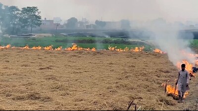 A farmer burns paddy stubble in a field in Bathinda. (ANI File) A farmer burns paddy stubble in a field in Bathinda. (ANI File)