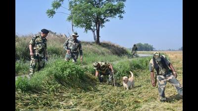 An official spokesperson of the BSF said that acting on specific intelligence, the BSF carried out a search operation near Chak Bhange Wala village, located on the India-Pakistan border, in Ferozepur. (HT File/Representational image)