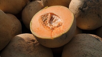 Cantaloupes (AP) Cantaloupes (AP)