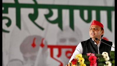 Samajwadi Party chief Akhilesh Yadav addressing Haryana Jansewak Party rally in Jind on November 19. (Sourced) Samajwadi Party chief Akhilesh Yadav addressing Haryana Jansewak Party rally in Jind on November 19. (Sourced)