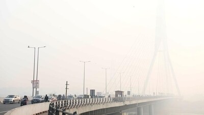 Since the Grap 4 norms were enforced on November 5, transport officials have penalised an average of 50 trucks daily Since the Grap 4 norms were enforced on November 5, transport officials have penalised an average of 50 trucks daily