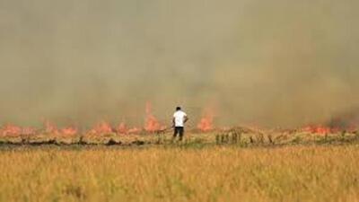 The Punjab government said that 1,072 flying squads comprising police and civil officials have been keeping vigil to prevent stubble burning. (HT Photo (Representative)) The Punjab government said that 1,072 flying squads comprising police and civil officials have been keeping vigil to prevent stubble burning. (HT Photo (Representative))