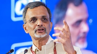 Chief economic advisor V Anantha Nageswaran (PTI file)