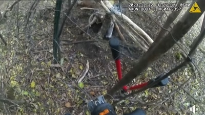 Deer stuck in barbed wire around a tree. (Facebook/@ColumbiaCountySheriffWI) Deer stuck in barbed wire around a tree. (Facebook/@ColumbiaCountySheriffWI)