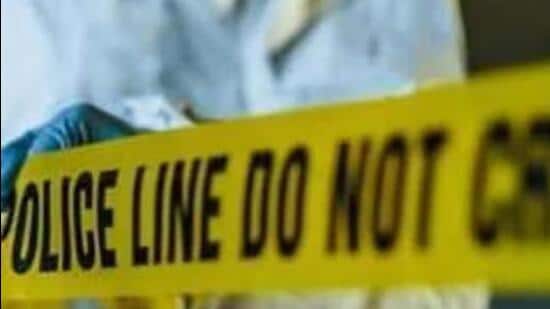 The police team’s car rammed into a parked truck between 5.30am and 6am on NH-58 near Kanota checkpost on Sunday. (Representative Image)