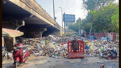 Heaps of garbage lying on the road running along the Chatar Singh Park in Model Town area, Ludhiana. (HT PHOTO) Heaps of garbage lying on the road running along the Chatar Singh Park in Model Town area, Ludhiana. (HT PHOTO)
