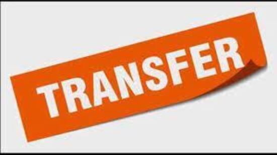 The Punjab government transferred 21 IPS and 10 PPS officers, including three commissioners and seven senior superintendents of police (SSPs), with immediate effect on Monday.