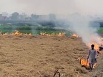 A farmer burns paddy stubble in a field, in Bathinda. (ANI Photo)


