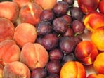 As per the Centers for Disease Control and Prevention, the outbreak has been linked to peaches, plums or nectarines from HMC farms. As per the Centers for Disease Control and Prevention, the outbreak has been linked to peaches, plums or nectarines from HMC farms.