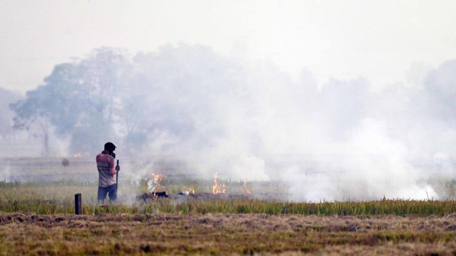 Can't go on: SC pulls up Punjab on stubble fires | Latest News India - Vimarsana News