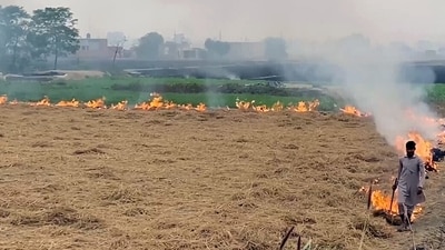 A farmer burns paddy stubble in a field, in Bathinda. (ANI Photo) (ANI ) A farmer burns paddy stubble in a field, in Bathinda. (ANI Photo) (ANI )