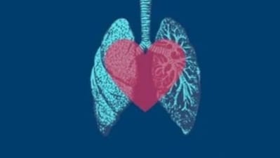 Signs of Vitamin K deficiency that can affect lung health, tips to improve the levels (Twitter/az_osteo) Signs of Vitamin K deficiency that can affect lung health, tips to improve the levels (Twitter/az_osteo)