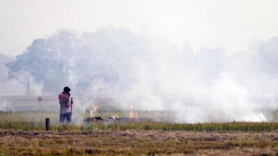 Stubble set on fire at a farm in Ludhiana on Monday. (Gurpreet Singh/HT Photo)