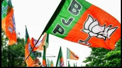 The BJP, which is the only party to undertake such an organised and large- scale voter awareness campaign, also plans to hold similar camps in universities and degree colleges, with the aim of enlisting first-time voters. (Pic for representation) The BJP, which is the only party to undertake such an organised and large- scale voter awareness campaign, also plans to hold similar camps in universities and degree colleges, with the aim of enlisting first-time voters. (Pic for representation)