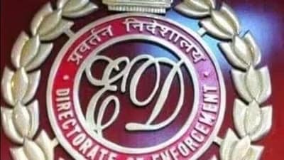 The Enforcement Directorate logo The Enforcement Directorate logo