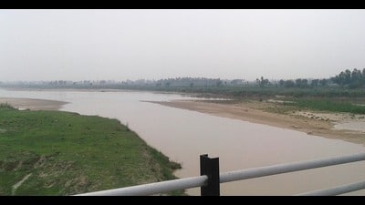 The focus of WWF-India in the Satluj Basin is on water resource management, sustainable agriculture, and integrated watershed management, with an emphasis on the conservation of ecosystems like rivers, wetlands, and the surrounding areas. (File)