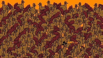 Brain Teaser: Can you find three roosters in this pic? (Facebook/@thedudolf) Brain Teaser: Can you find three roosters in this pic? (Facebook/@thedudolf)