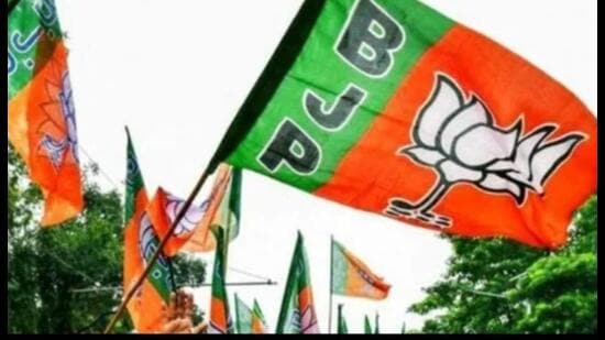 The BJP, which is the only party to undertake such an organised and large- scale voter awareness campaign, also plans to hold similar camps in universities and degree colleges, with the aim of enlisting first-time voters. (Pic for representation)