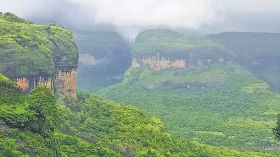 As per the official data, the forest department holds 11,495 hectares of private forest land with the highest 4365.89 hectares in Maval tehsil followed by 3,722 hectares in Mulshi tehsil. (REPRESENTATIVE PHOTO) As per the official data, the forest department holds 11,495 hectares of private forest land with the highest 4365.89 hectares in Maval tehsil followed by 3,722 hectares in Mulshi tehsil. (REPRESENTATIVE PHOTO)