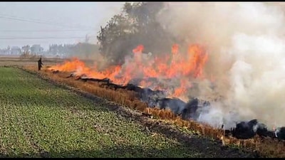 Farmers burning stubble on Ferozepur Road in Faridkot on Wednesday. (ANI)