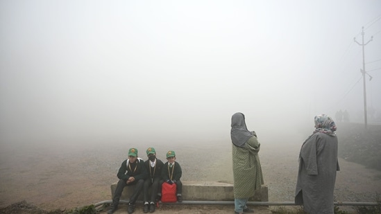 Businesses and services faced difficulties due to the fog, dealing with delays and disruptions in their operations.&nbsp;(HT Photo/Waseem Andrabi)