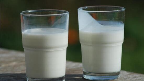 Buttermilk feeding was indicated in cases of indigestion, atrophy, and malnutrition. (Wikipedia)