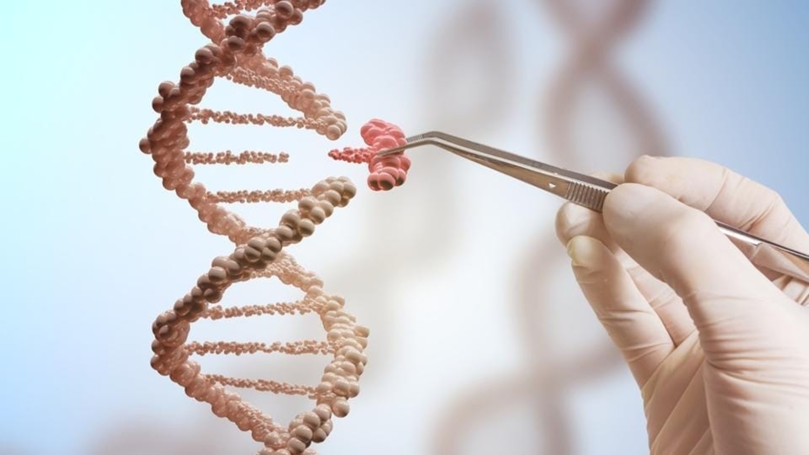 Way to deliver clinically used gene therapy vectors: Study - Vimarsana News