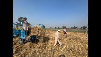 As per the Punjab Pollution Control Board’s protocol, a village with 25 or more farm fires in a season is termed as a hotspot. (HT photo) As per the Punjab Pollution Control Board’s protocol, a village with 25 or more farm fires in a season is termed as a hotspot. (HT photo)