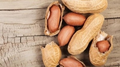 Protection against cancer: The phytosterols in peanuts have been reported to reduce prostate tumour growth by over 40% and cut the occurrences of cancer spreading to other parts of the body by almost 50%. Like phytosterols, resveratrol has also been shown to cut off the blood supply to growing cancers and to inhibit cancer cell growth.&nbsp; (Shutterstock)