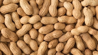 Healthy skin: Being rich in vitamin B3, and niacin, peanuts promote wrinkle-free skin, and keep all kinds of skin diseases at bay. It also helps in reducing fine lines, wrinkles, and hyperpigmented spots. (Unsplash) Healthy skin: Being rich in vitamin B3, and niacin, peanuts promote wrinkle-free skin, and keep all kinds of skin diseases at bay. It also helps in reducing fine lines, wrinkles, and hyperpigmented spots. (Unsplash)