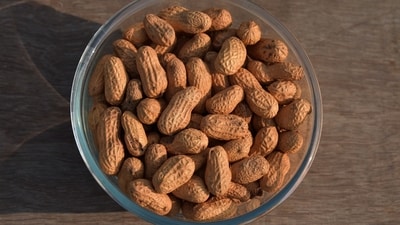 Protein storehouse: Peanuts contain all the 20 amino acids in variable proportions and is the biggest source of the protein called 'arginine'. (pixabay) Protein storehouse: Peanuts contain all the 20 amino acids in variable proportions and is the biggest source of the protein called 'arginine'. (pixabay)