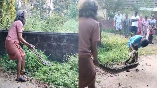 Duo rescuing a giant python. (X/@DpHegde)