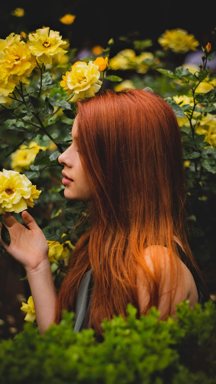 healthy_hair
