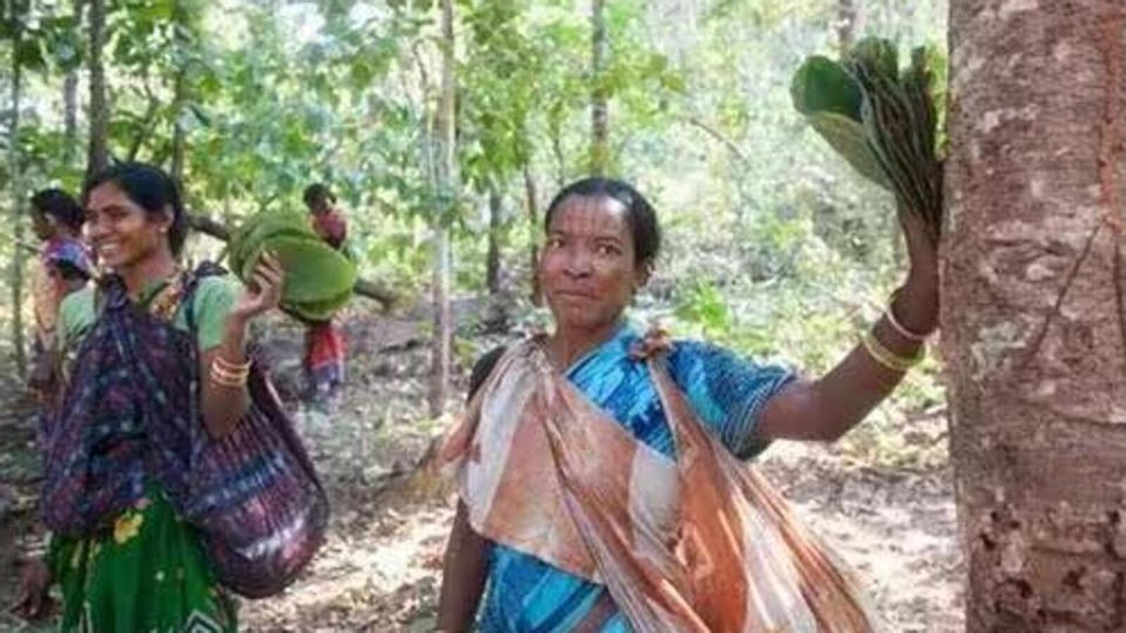 Orissa rescinds decision on sale of tribal land to non-tribals amid criticism - Vimarsana News