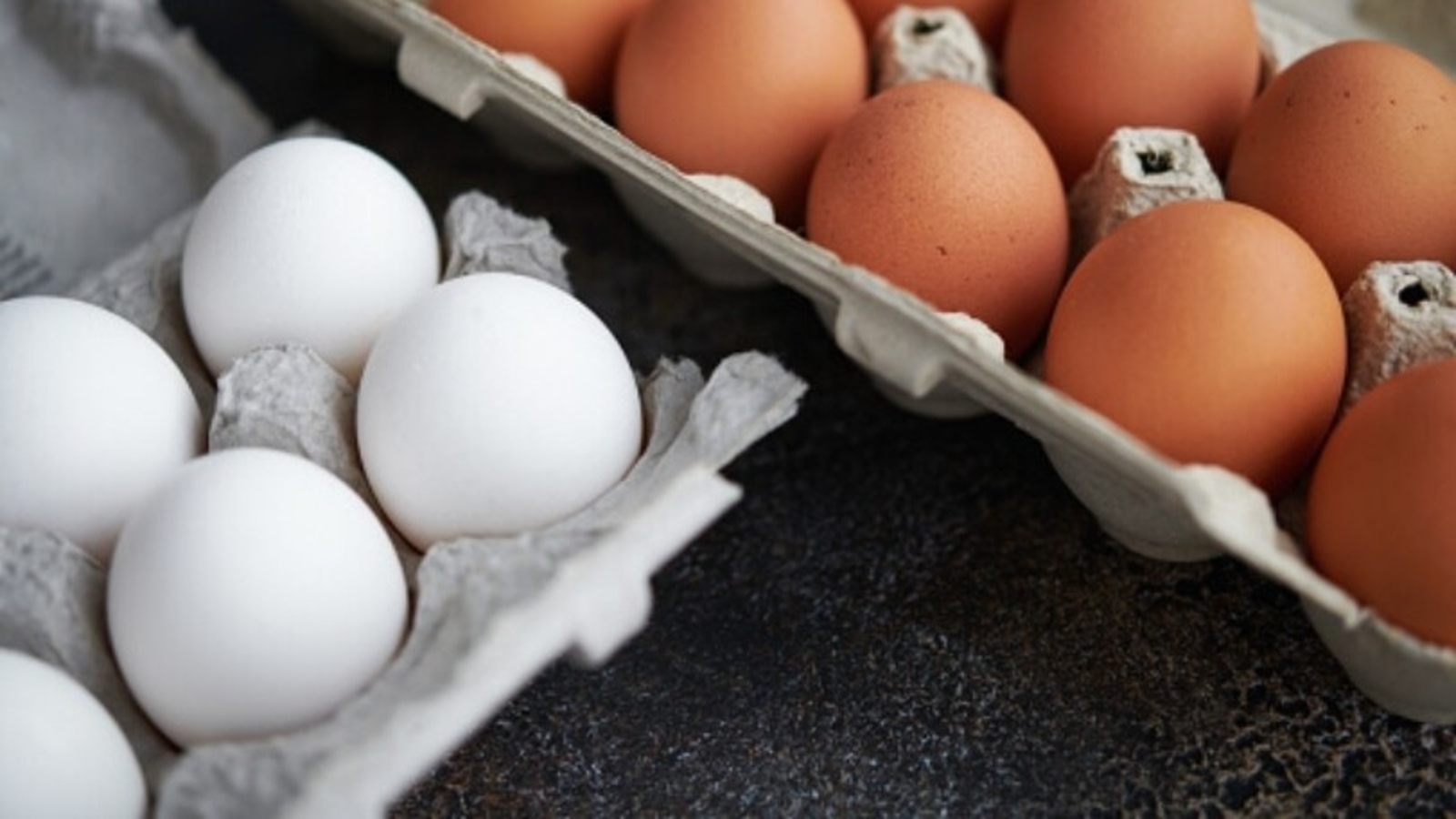 Karnataka: Man alleges daughter forcefully fed eggs in school; Govt orders probe - Vimarsana News