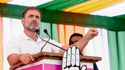 Congress leader Rahul Gandhi (AICC) Congress leader Rahul Gandhi (AICC)