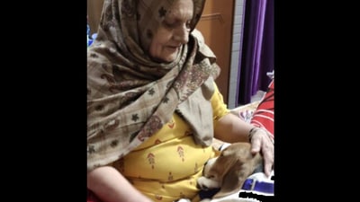 The dog was seen resting its head on the woman's lap/ (Instagram/@astroandnani) The dog was seen resting its head on the woman's lap/ (Instagram/@astroandnani)