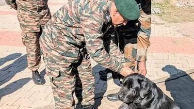 Indian Army dog, his handler awarded for tracking terrorists (HT Photo)
