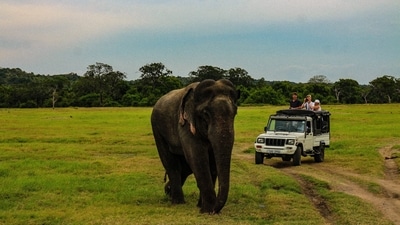 Sri Lanka: Since 2019, this island nation in the Indian Ocean has welcomed Indian visitors without the need for a visa. A paradise for nature enthusiasts, Sri Lanka boasts breathtaking beaches, ancient temples, and a rich diversity of wildlife, making it a must-visit destination.&nbsp; (Unsplash)