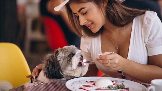 Italy's first dogs' restaurant 'Fiuto' serves gourmet meals for furry customers. (Representative image) (Unsplash)