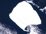 A satellite imagery of the world's largest iceberg, named A23a, seen in Antarctica. (Reuters)
