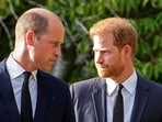 Prince William believes that Prince Harry's confessions add strain to royal family relations