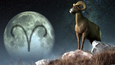Aries Weekly Horoscope for November 26 to December 2 2023: A happy romance-backed professional achievement makes your week awesome.