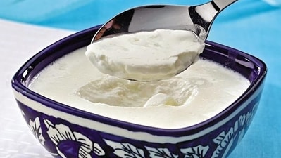4. Homemade Curd: With gut-friendly probiotics, it aids digestion, ensuring your body absorbs those muscle-loving nutrients. (Images bazaar)