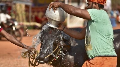 Bengaluru's Namma Kambala: Here are the roads to avoid for next two days Bengaluru's Namma Kambala: Here are the roads to avoid for next two days