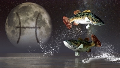 Weekly Horoscope Pisces, Nov 26-Dec 2, 2023. Utilize the professional opportunities to ensure better career growth.