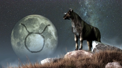 Weekly Horoscope Taurus, Nov 26-Dec 2, 2023. This will motivate the love to take up new endeavors.