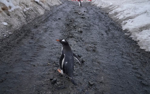 The world is currently headed for 2.5 to 2.9°C warming over the pre-industrial period. (CREDIT: AP)