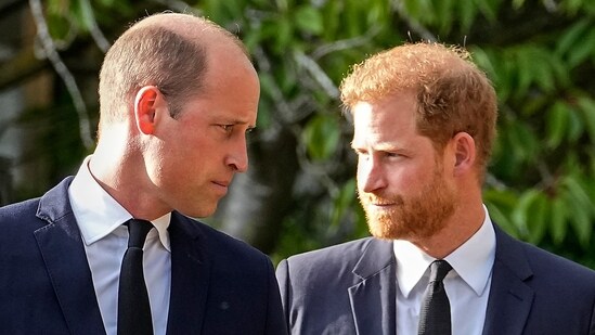 Prince William believes that Prince Harry's confessions add strain to royal family relations (AFP)